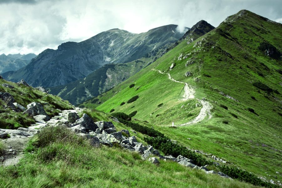 ALI BEDNI BUGYAL TREK