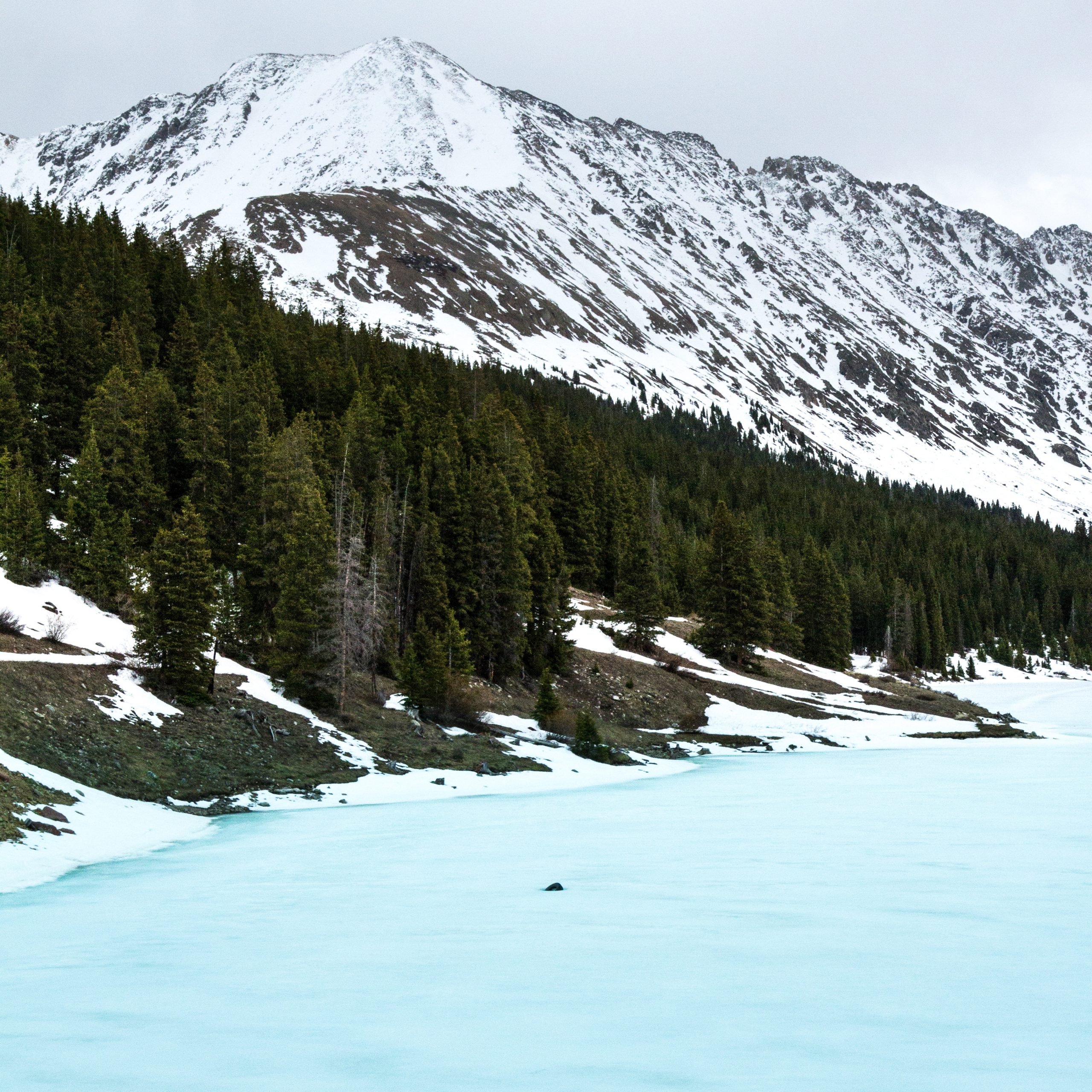 Kashmir