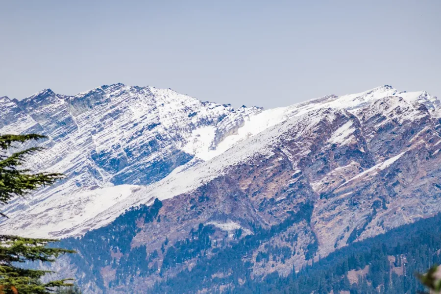 Brahmatal Trek 2025: The Ultimate Winter Ridge Walk | MyLocalGuide